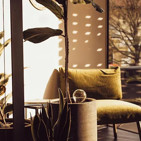 Hotel Birkenhof Hotel