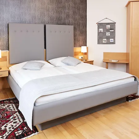 Hotel Birkenhof Отель 3*