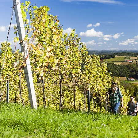 Birkenhof 3* 바트래드커스스부르크