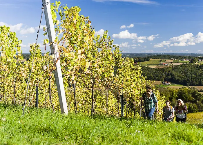 Birkenhof 3* Bad Radkersburg